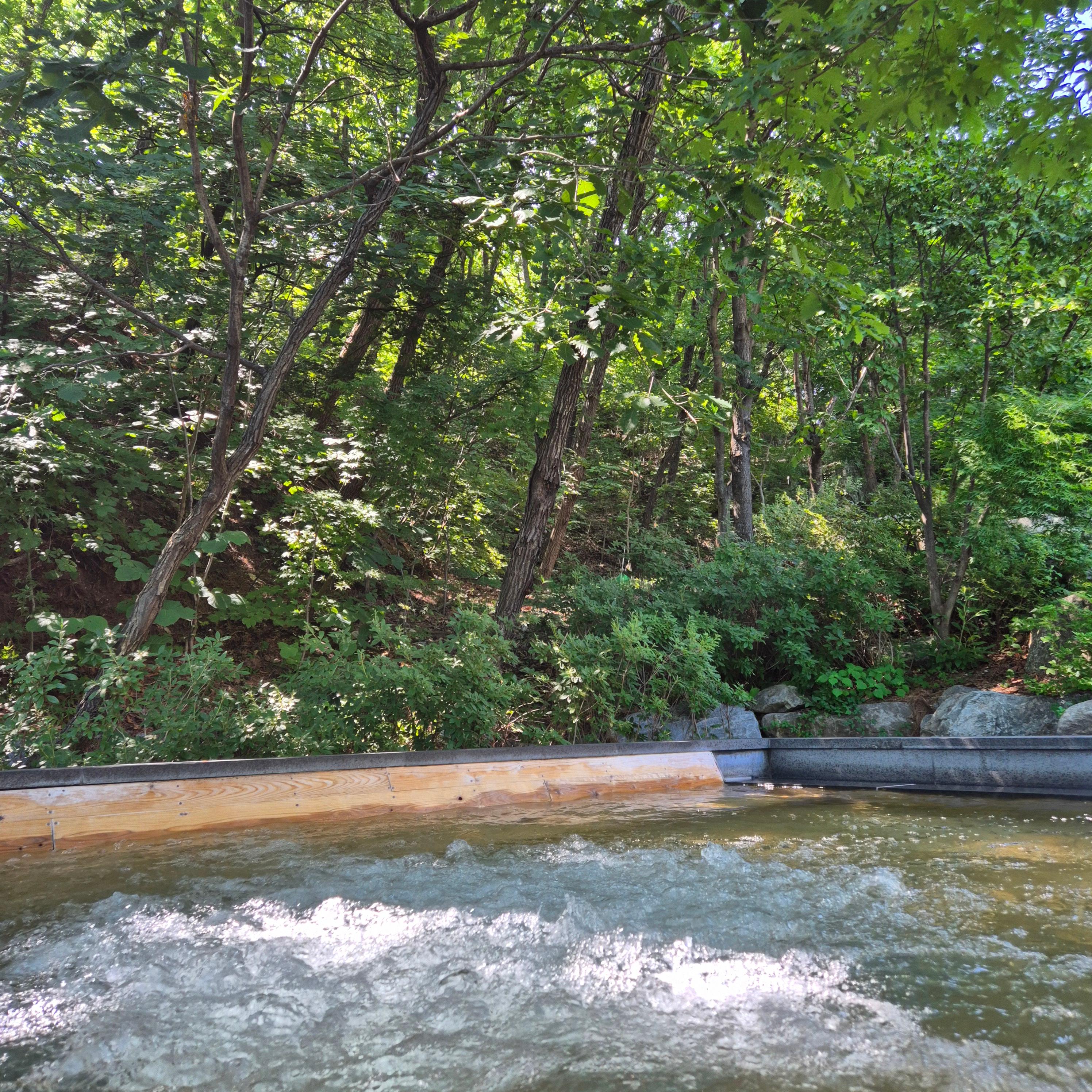 제천 가볼만한곳, 해브나인 스파, 해브나인스파, 제천포레스트, 온천, 노천탕, 인피니티풀, 스톤스파, 인생샷