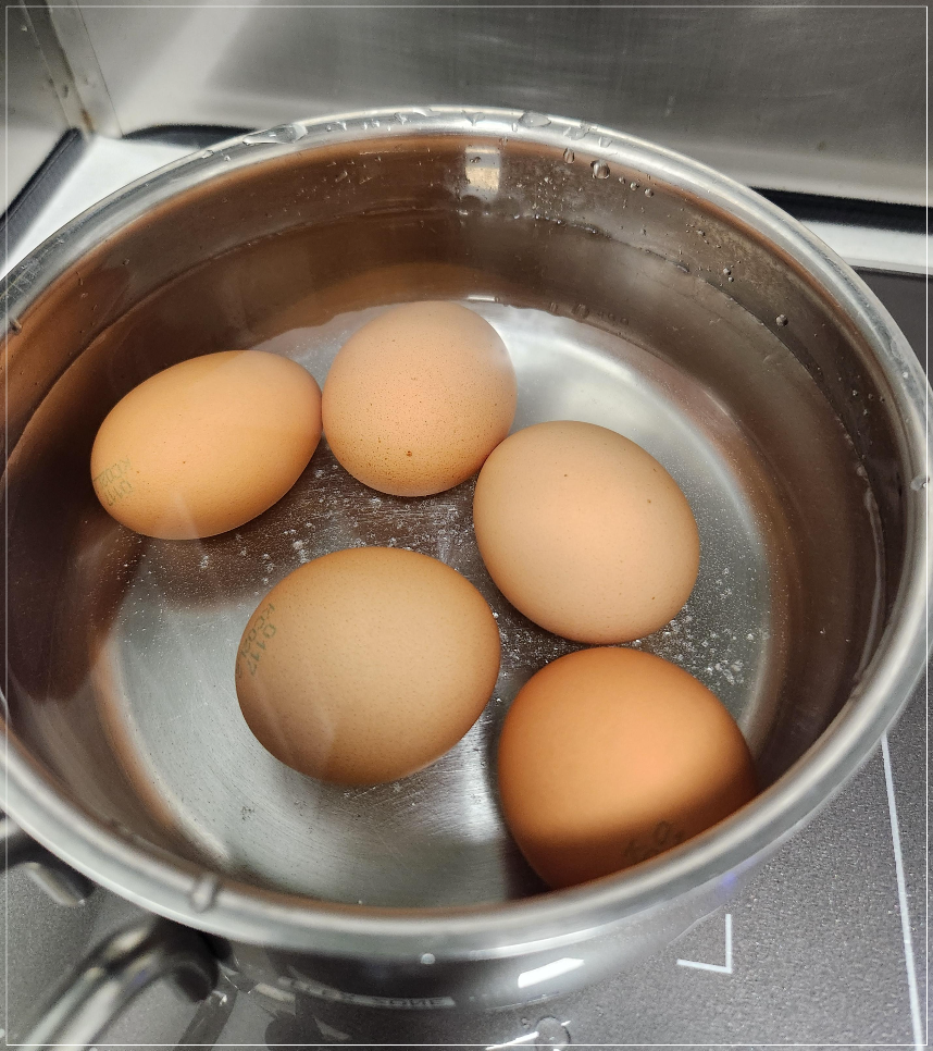 계란 삶기