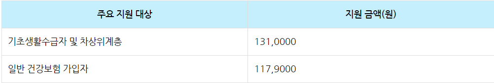 보청기 지원금