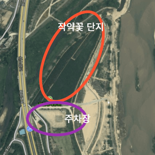 작약꽃 단지 위치와 주차장