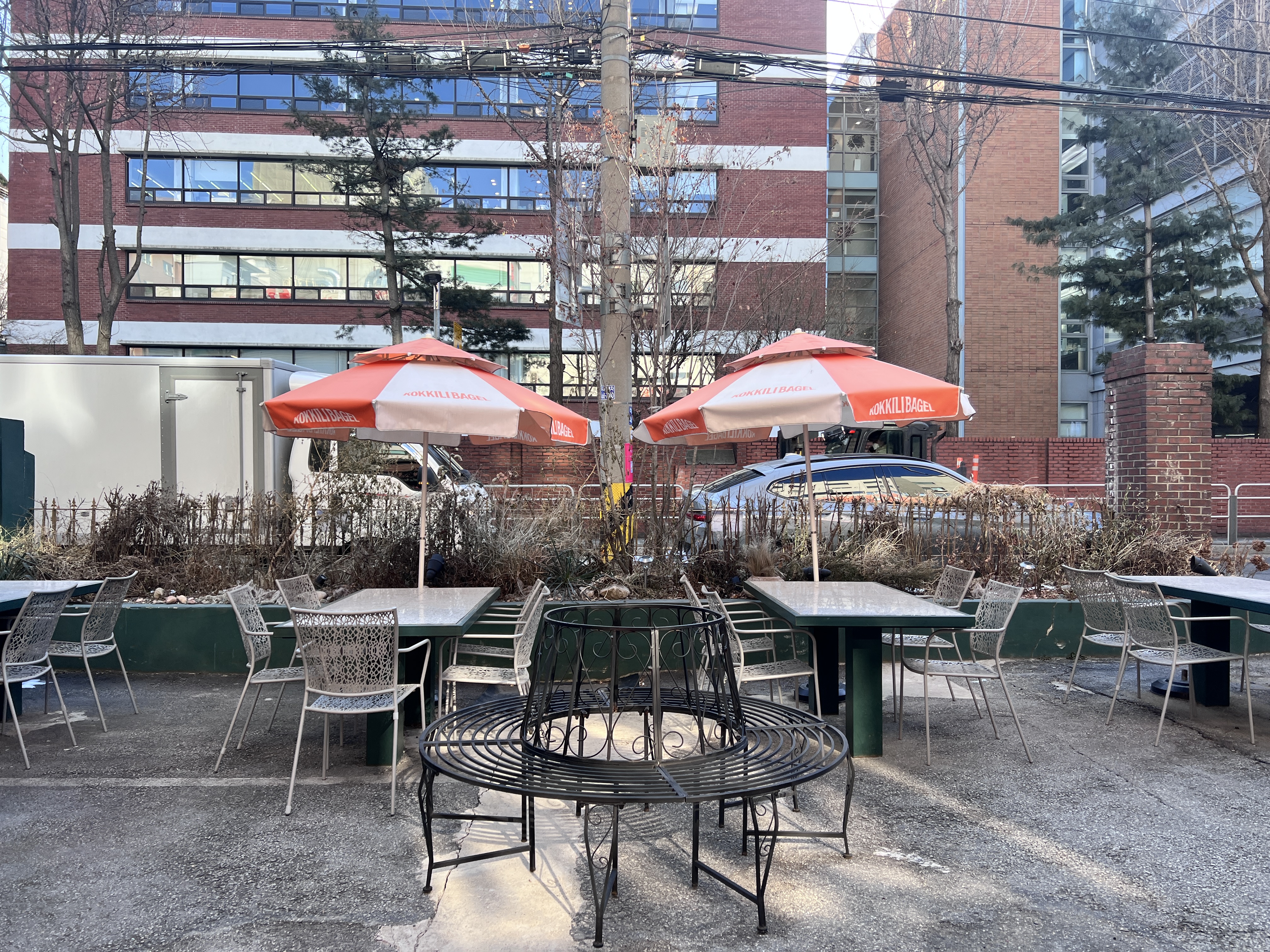 코끼리베이글 성수