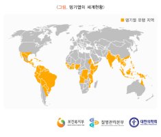뎅기열
