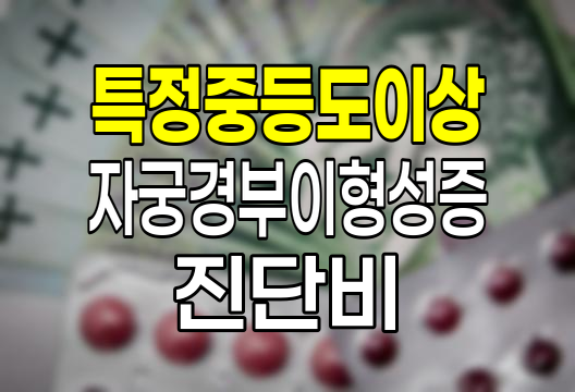 메리츠화재 특정중등도이상자궁경부이형성증 진단비, 여성 건강 보장의 새로운 지평