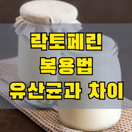 락토페린 복용법과 주의사항