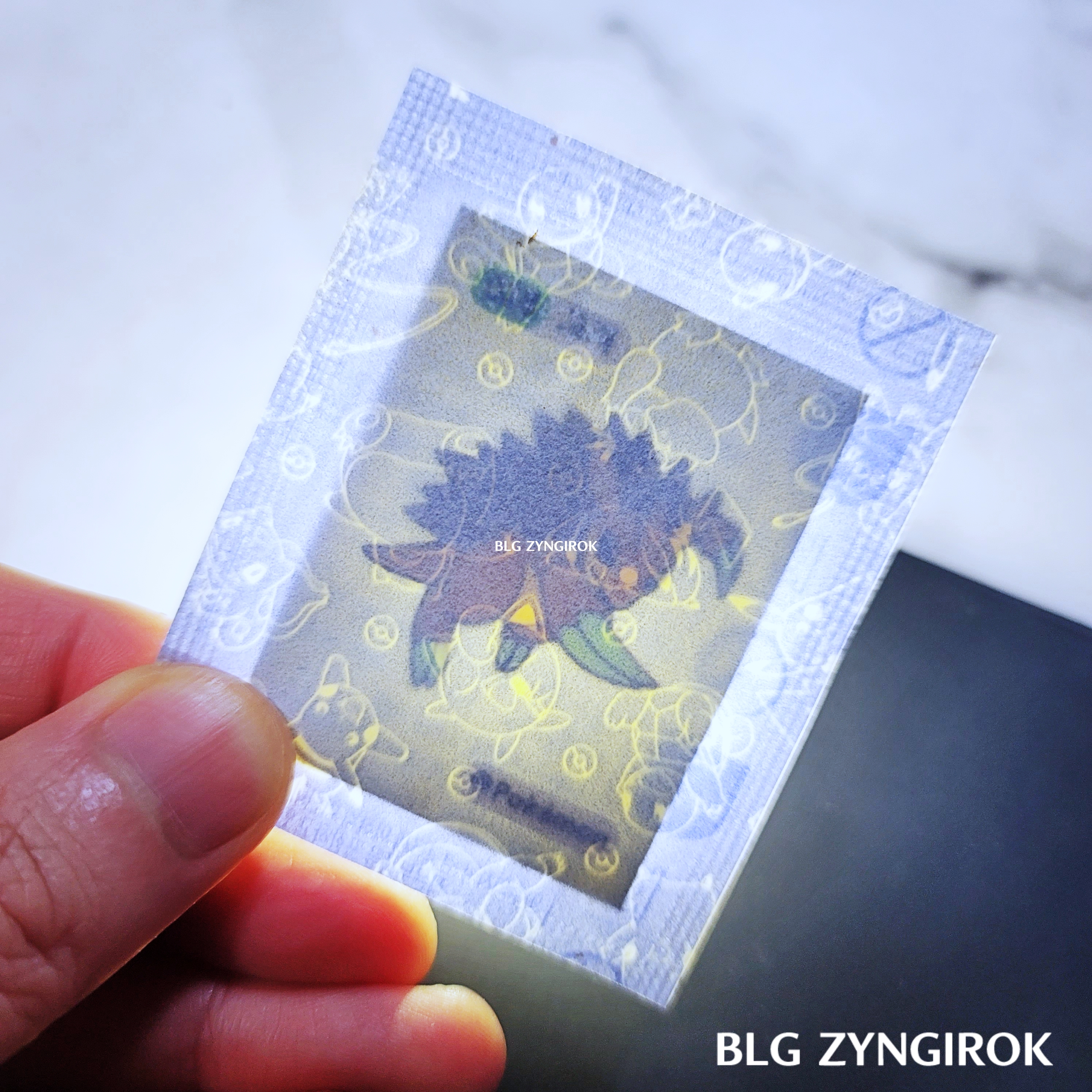 띠부띠부씰-고지를-들고있다.