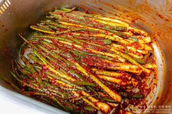 쪽파김치 맛있게 담그는법 황금레시피_2