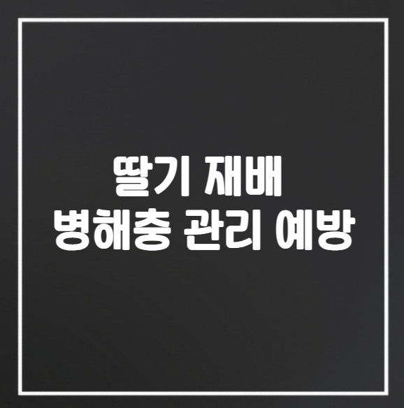 딸기 재배 병해충 관리