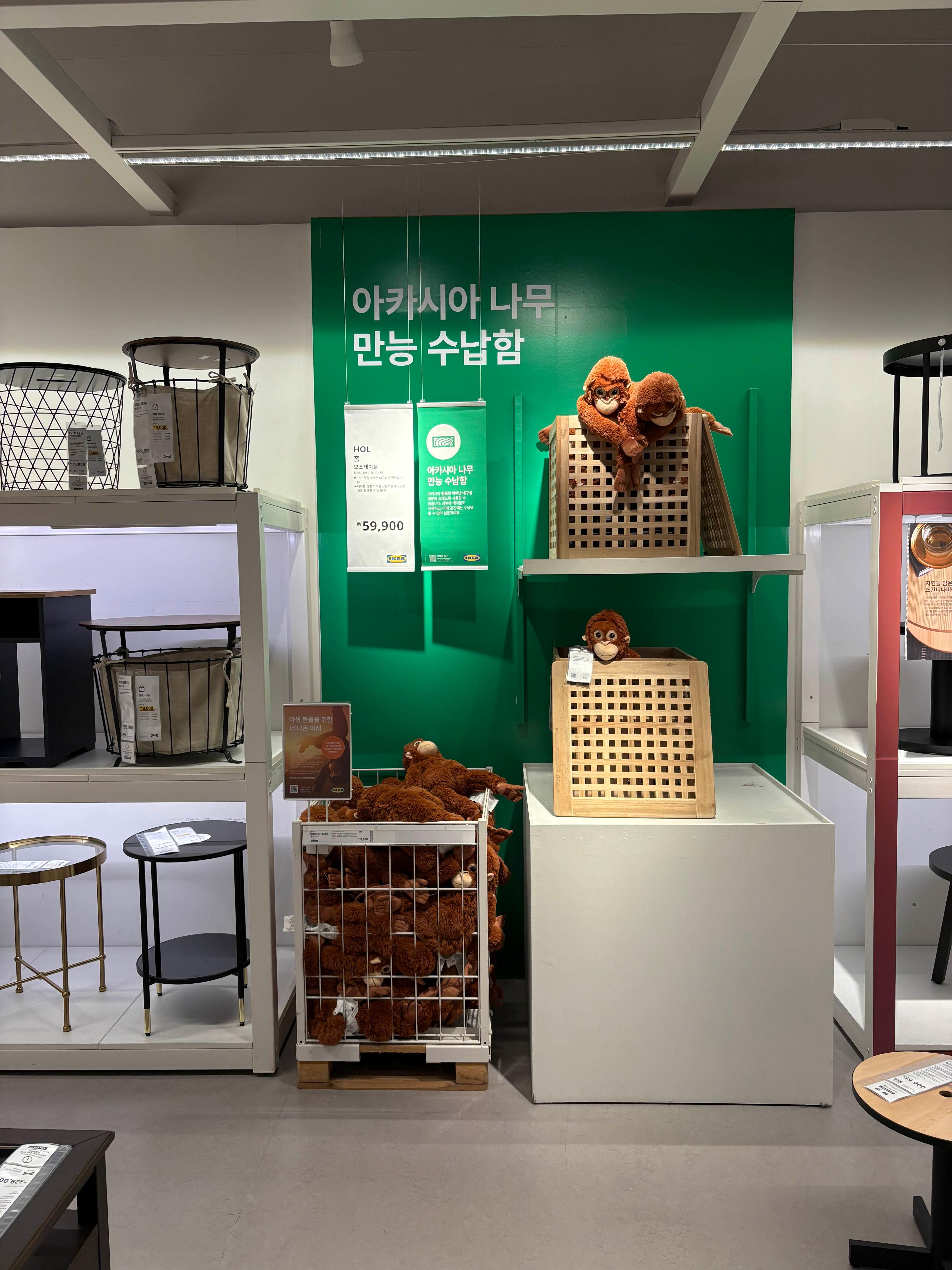 이케아 공세점 방문 후기: 인테리어 아이디어와 나들이까지 한 번에