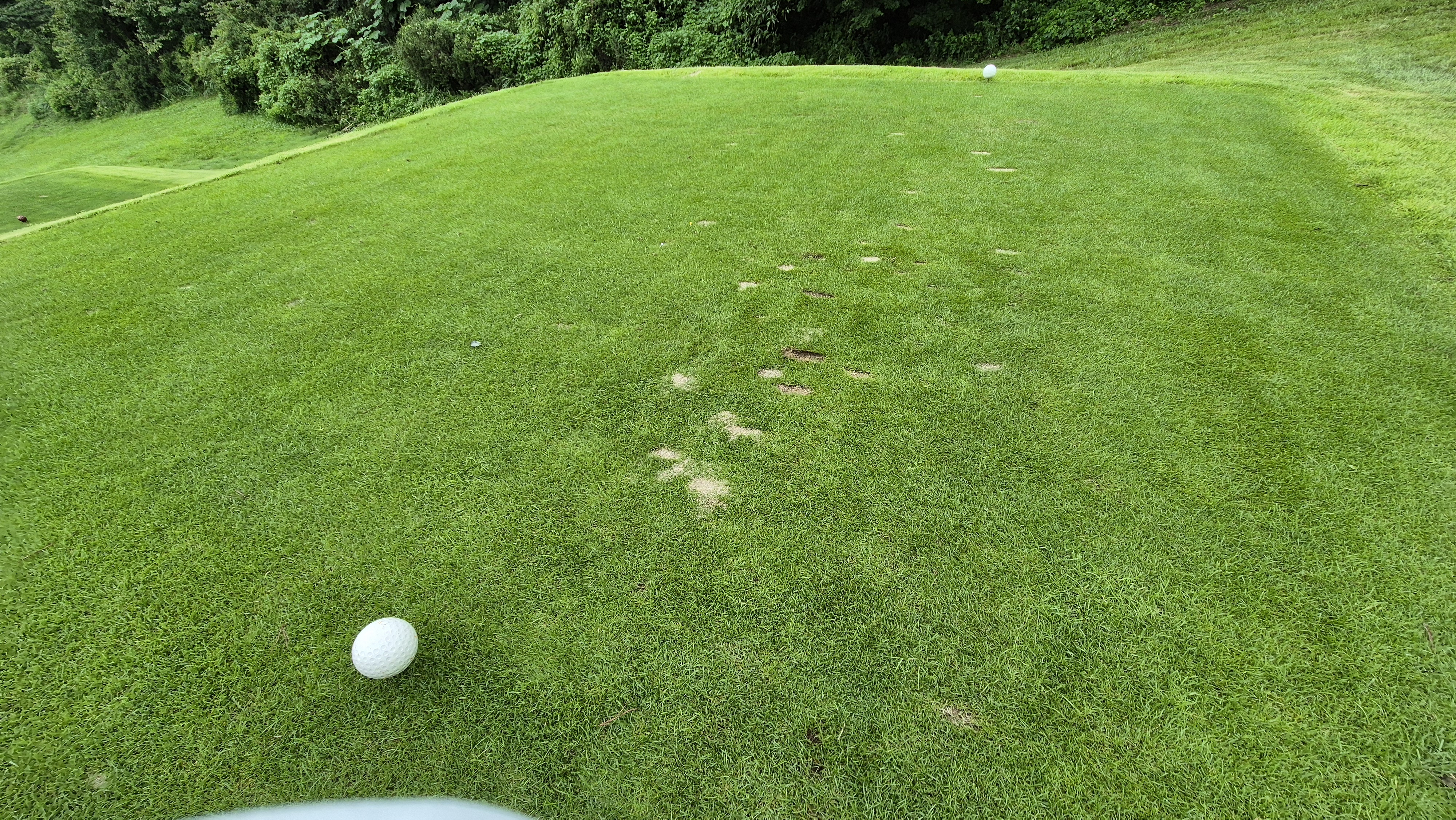 뉴서울cc 예술in-문화in 코스 라운드 후기