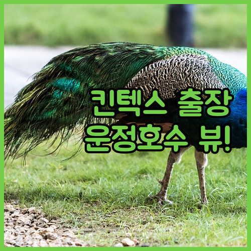 일산 킨텍스 출장 숙소와 파주 운정 ..