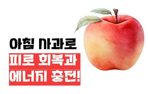 아침 사과 효능
