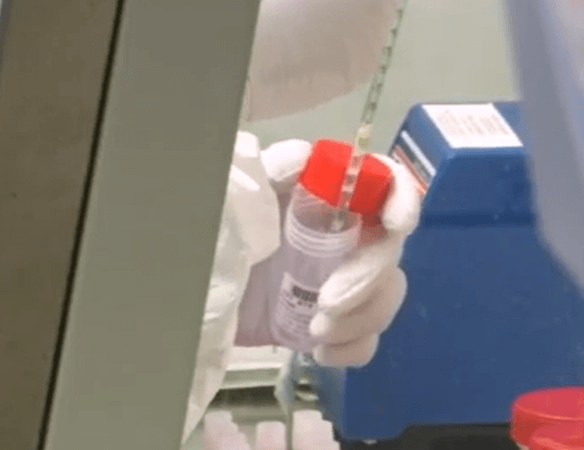 코로나19 연구 장면