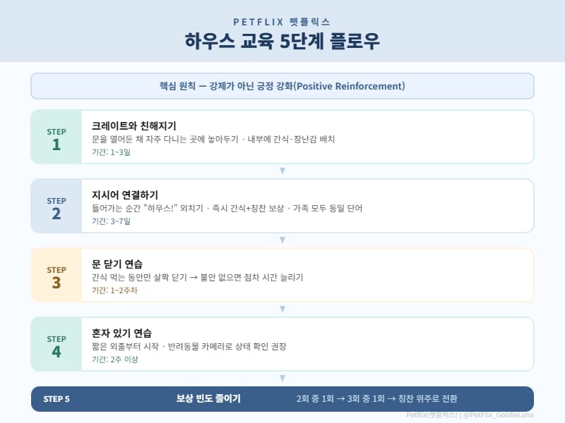 강아지 하우스 교육 5단계 플로우 인포그래픽 — 크레이트 친해지기(1~3일) → 지시어 연결(3~7일) → 문 닫기 연습(1~2주) → 혼자 있기(2주 이상) → 보상 빈도 줄이기 순서 안내 ❘ Petflix(펫플릭스)