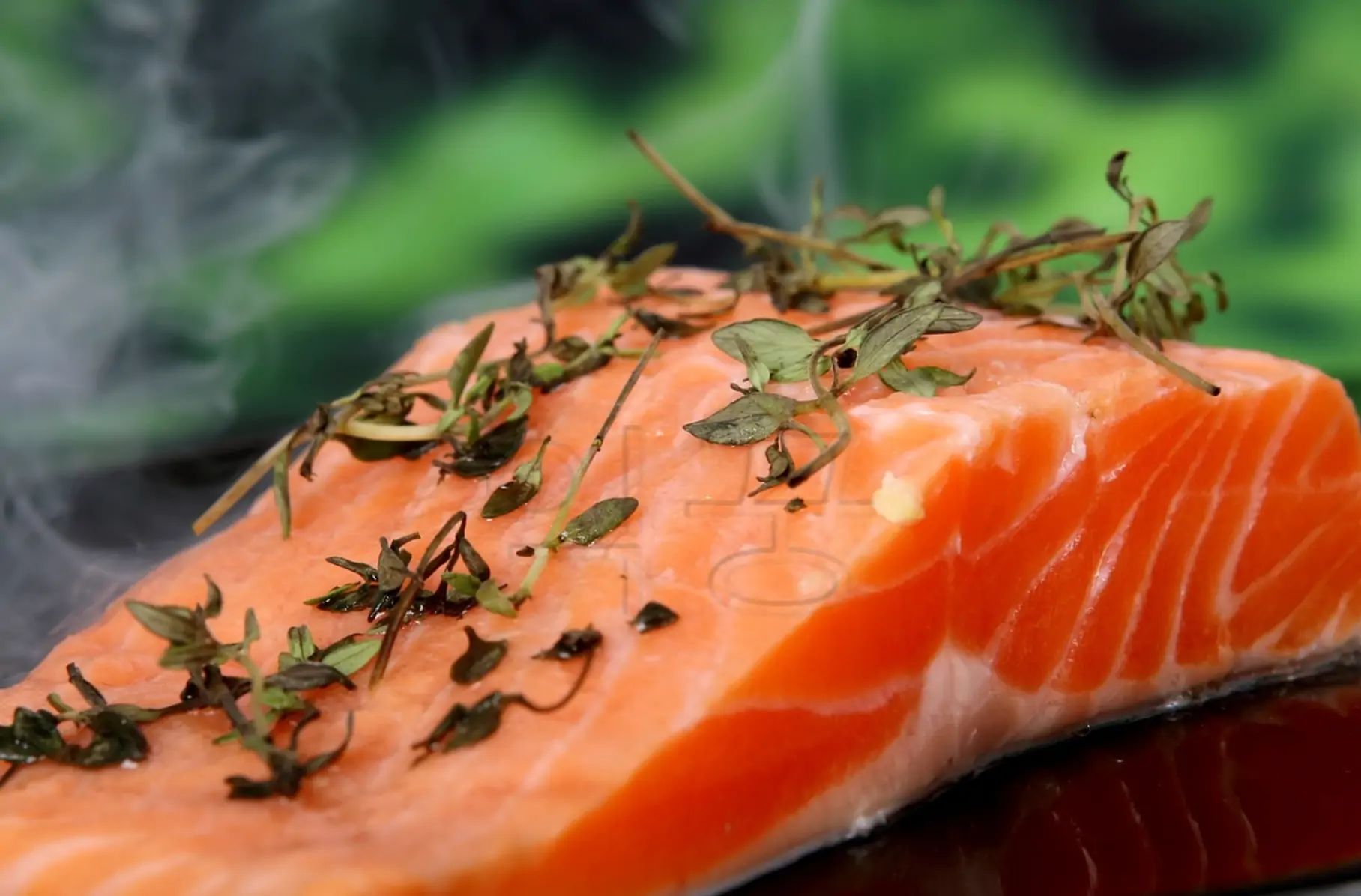 쥐가 자주 나는 사람이 먹으면 좋은 연어