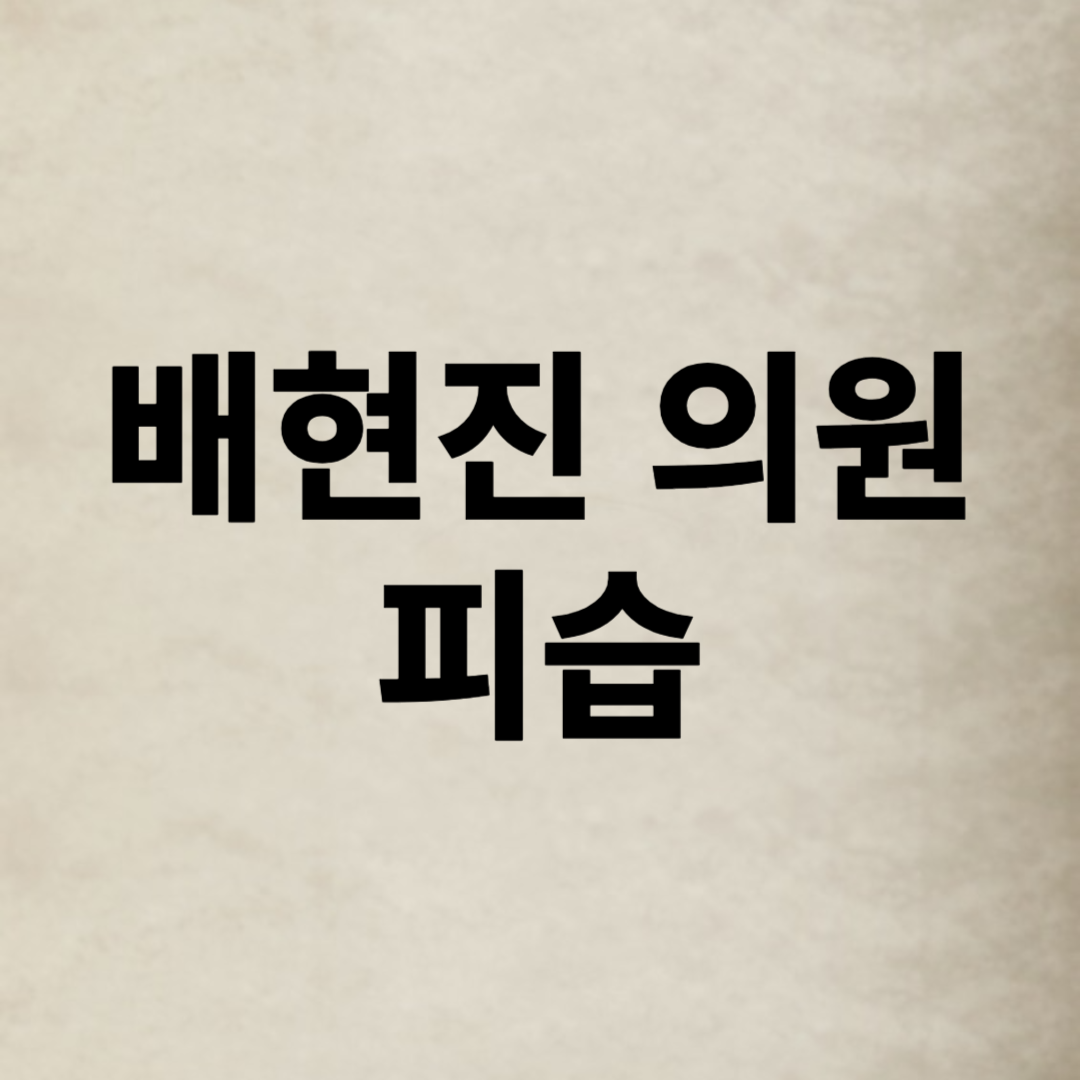 배현진 피습