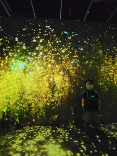 아르떼뮤지엄제주