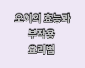 오이의 효능과 부작용 요리법