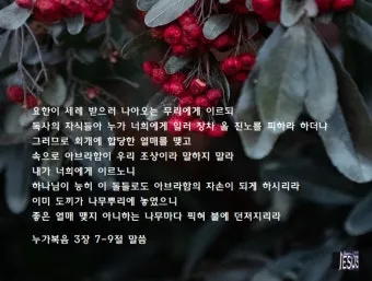 누가복음 3장 세례 요한의 전파 말씀 강해 준비_25