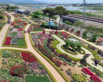 곡성 장미축제_5