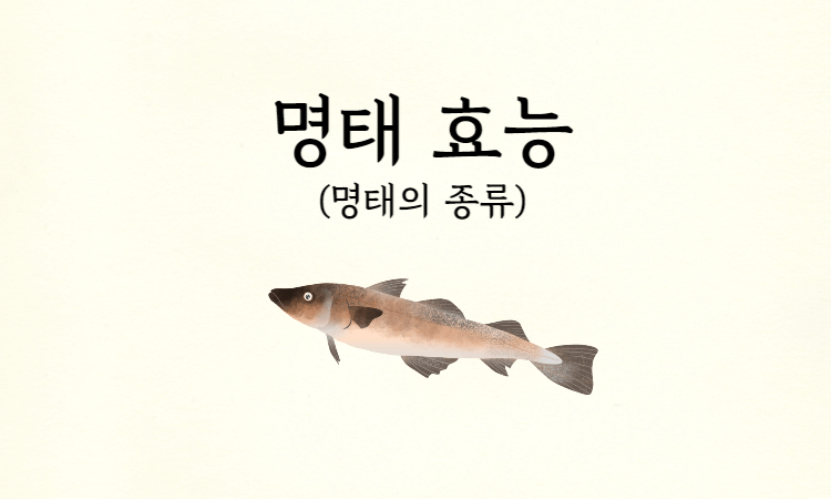 명태효능썸네일