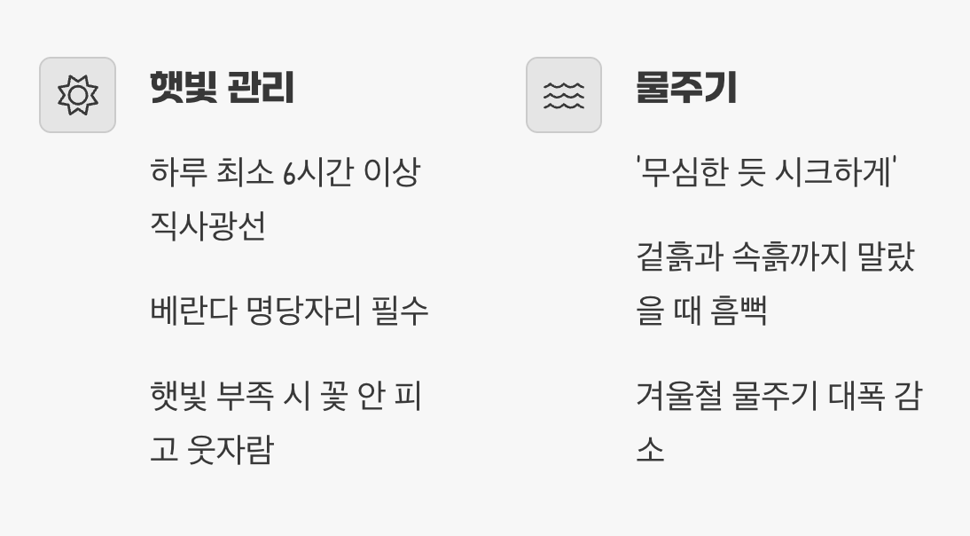 햇볕은 듬뿍, 물은 아껴주세요