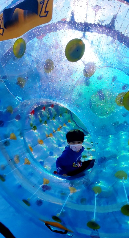 대굴대굴 구르고 있는 쿠웅이