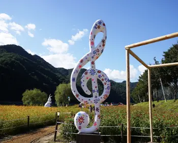 평창 백일홍 축제_20