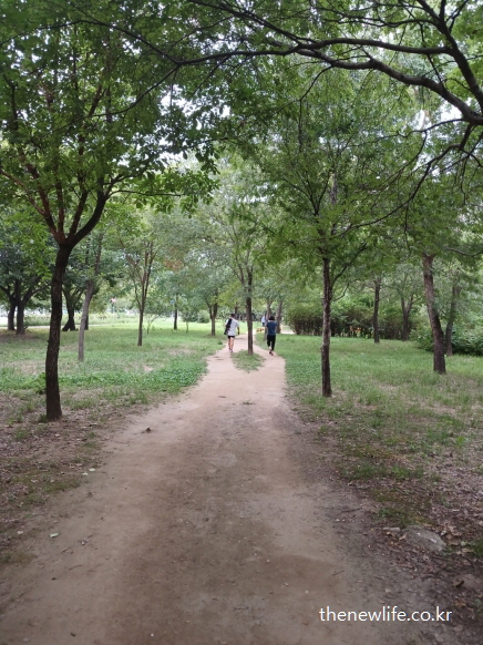 광나루 한강공원의 서울 맨발 걷기 좋은 장소 &ndash; 숲속 갈림길 흙길을 걷는 사람들