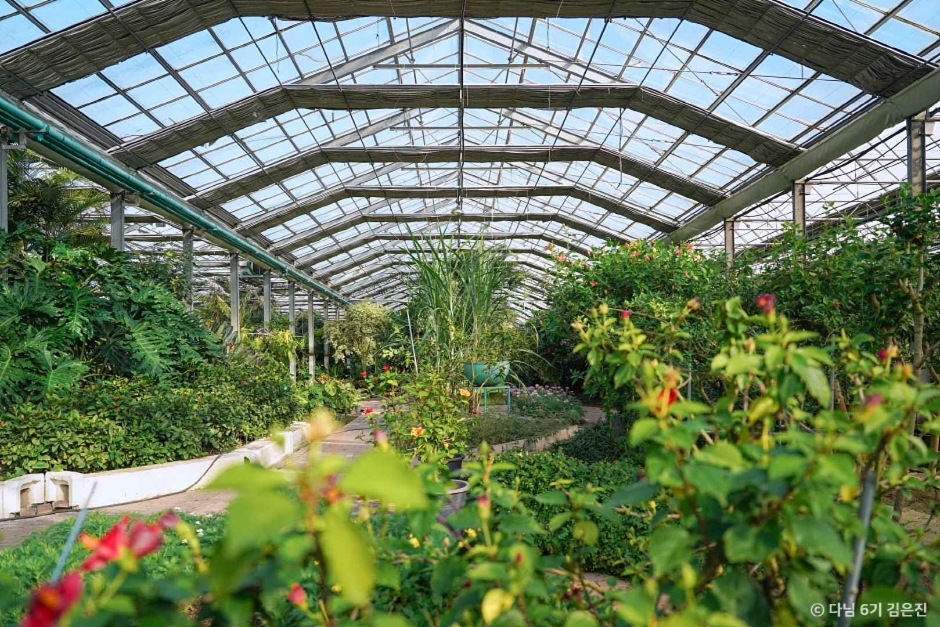 아산 가볼만한곳 베스트10