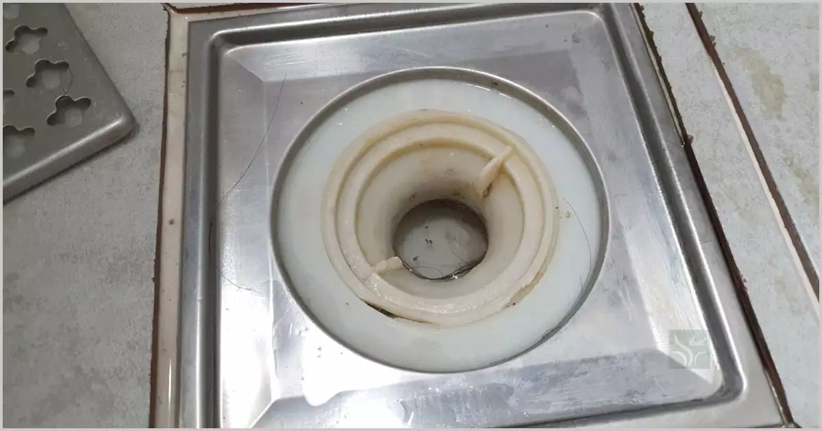 빠지지 않는 배수구