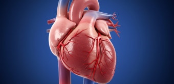 고지혈증 초기증상 및 관리법