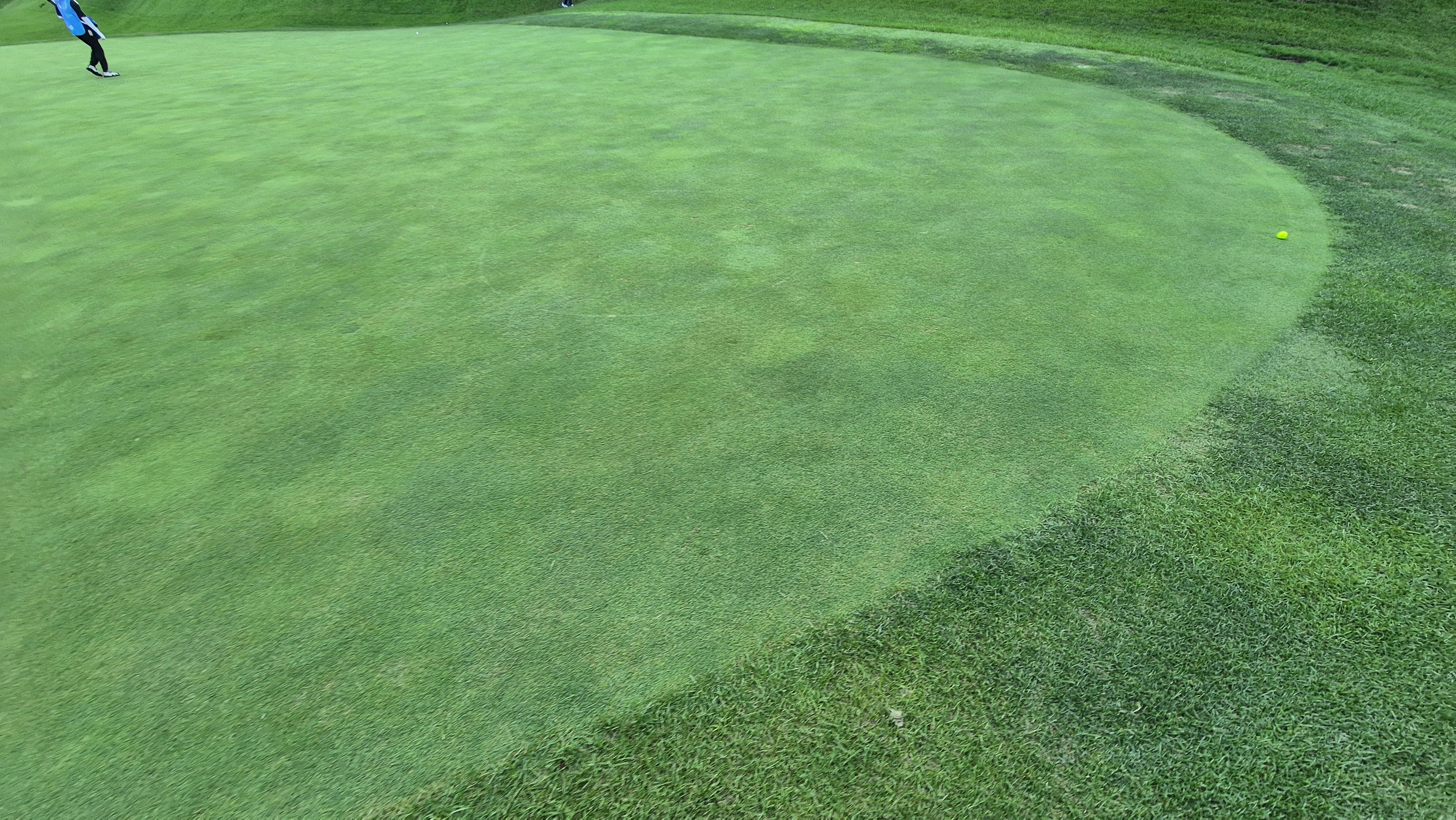 대영힐스cc 청-력 코스 라운드 후기