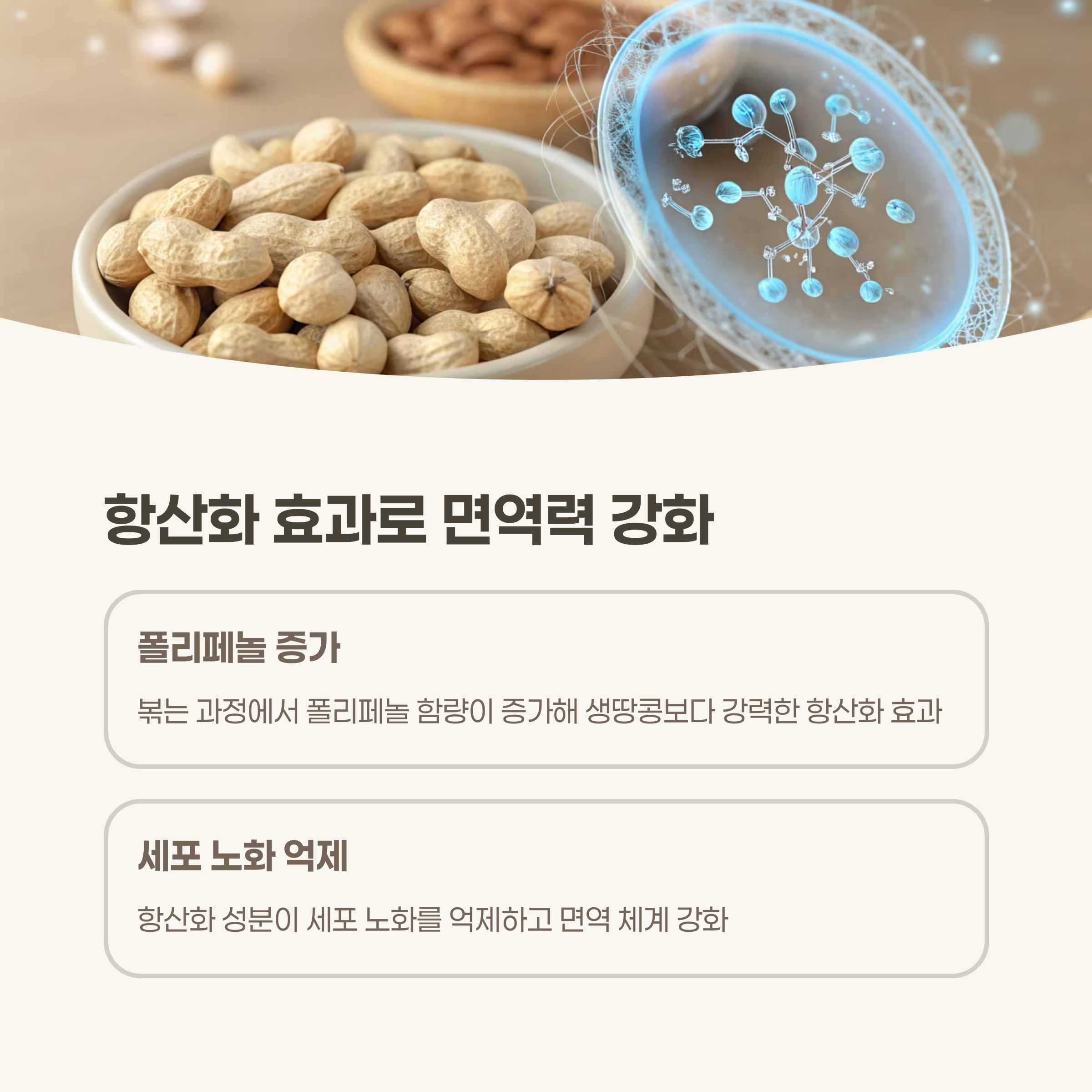 항산화 작용과 면역력 강화