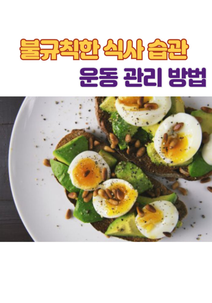 1.불규칙한 식사 습관 운동 관리 방법