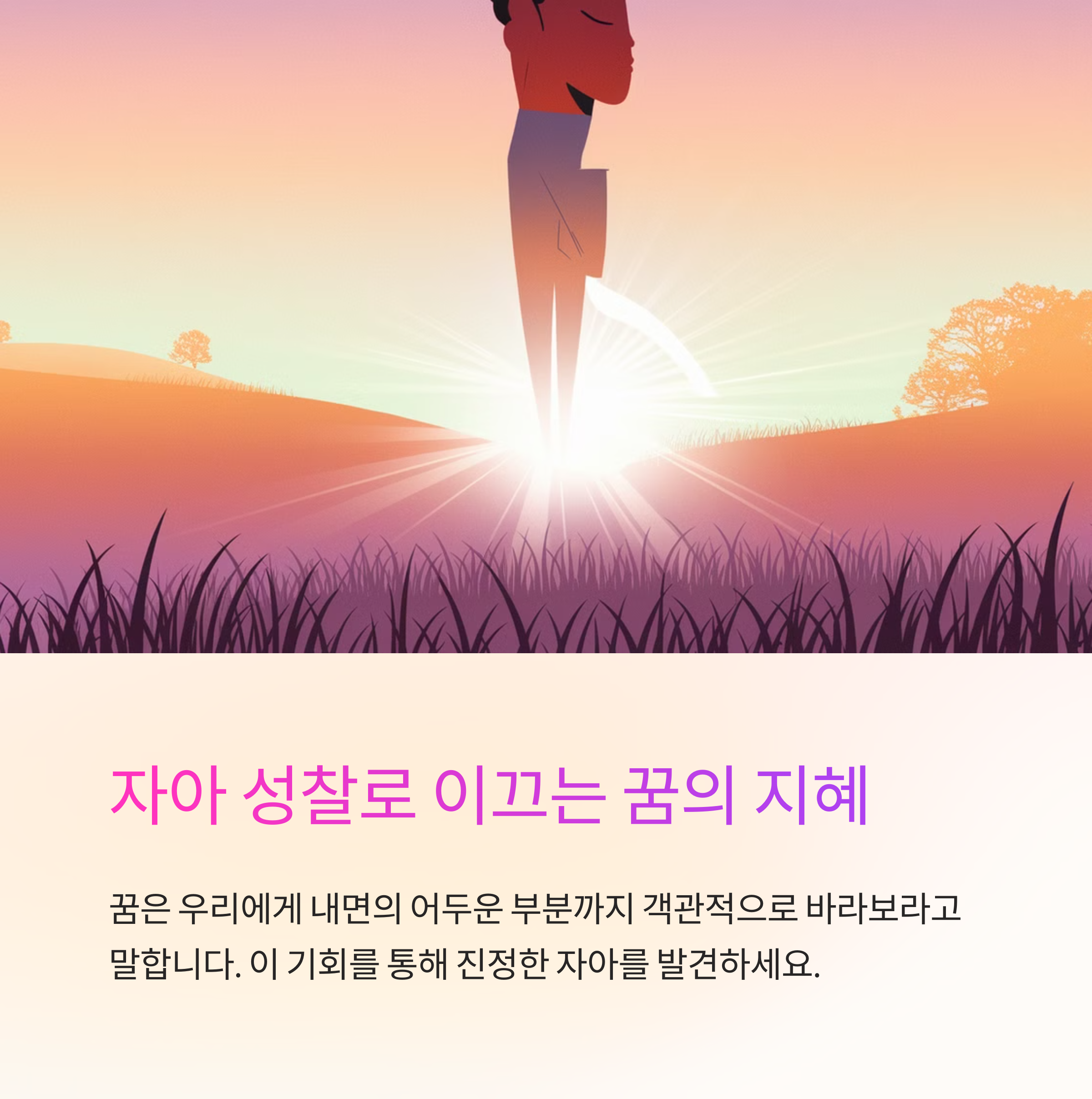 똥이 거울에 비치는 꿈