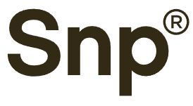 SNP UV 퍼펙트 에어쿨 선크림