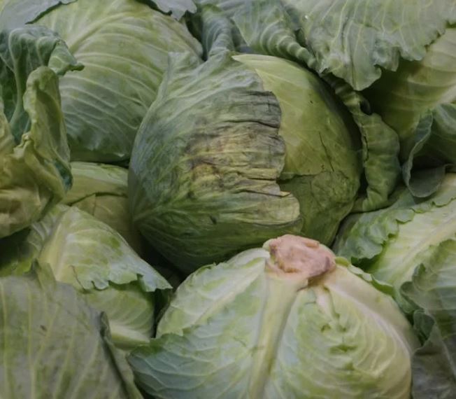 갱년기 다이어트 방법