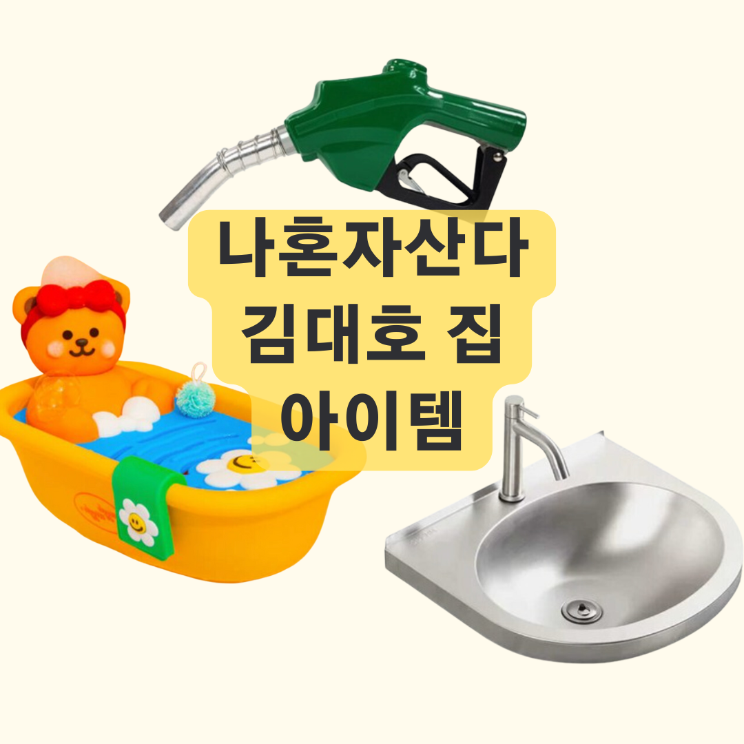 나혼자산다 김대호 곰돌이 비누 받침대 기차 세면대 주유기 술방 소품 인테리어 아이템 정보