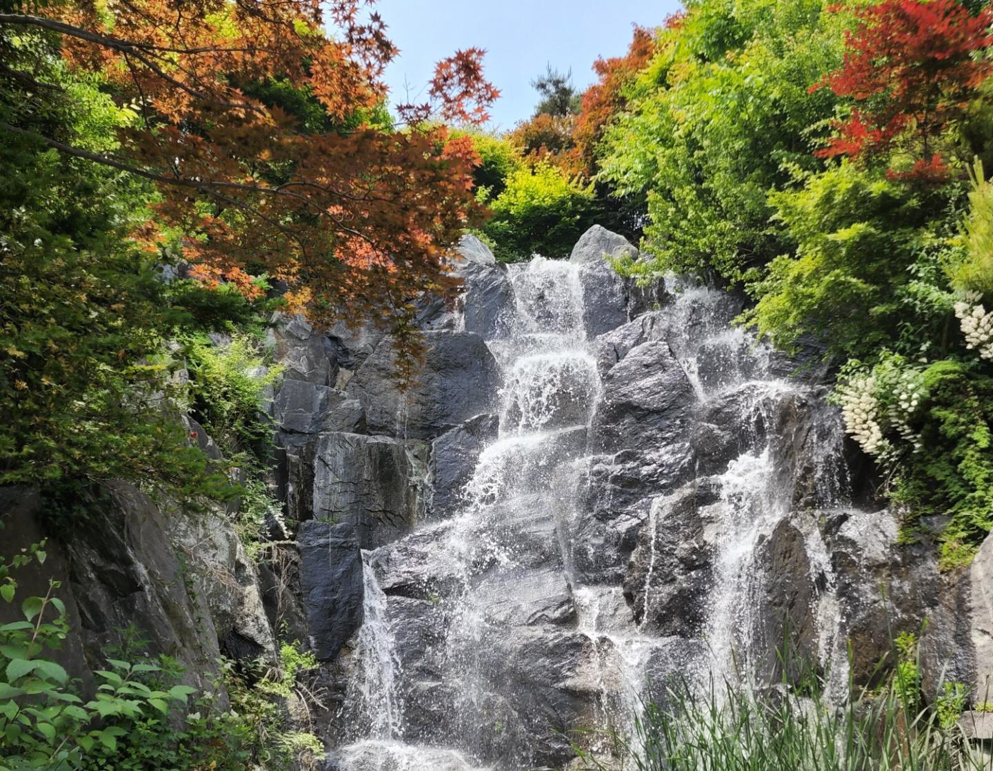 화수목정원_폭포