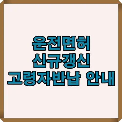 운전면허 신규갱신 및 고령자 면허반납 제도 안내를 담은 썸네일 이미지로, 운전자 갱신 주기와 고령자 혜택 정보를 확인할 수 있습니다.
