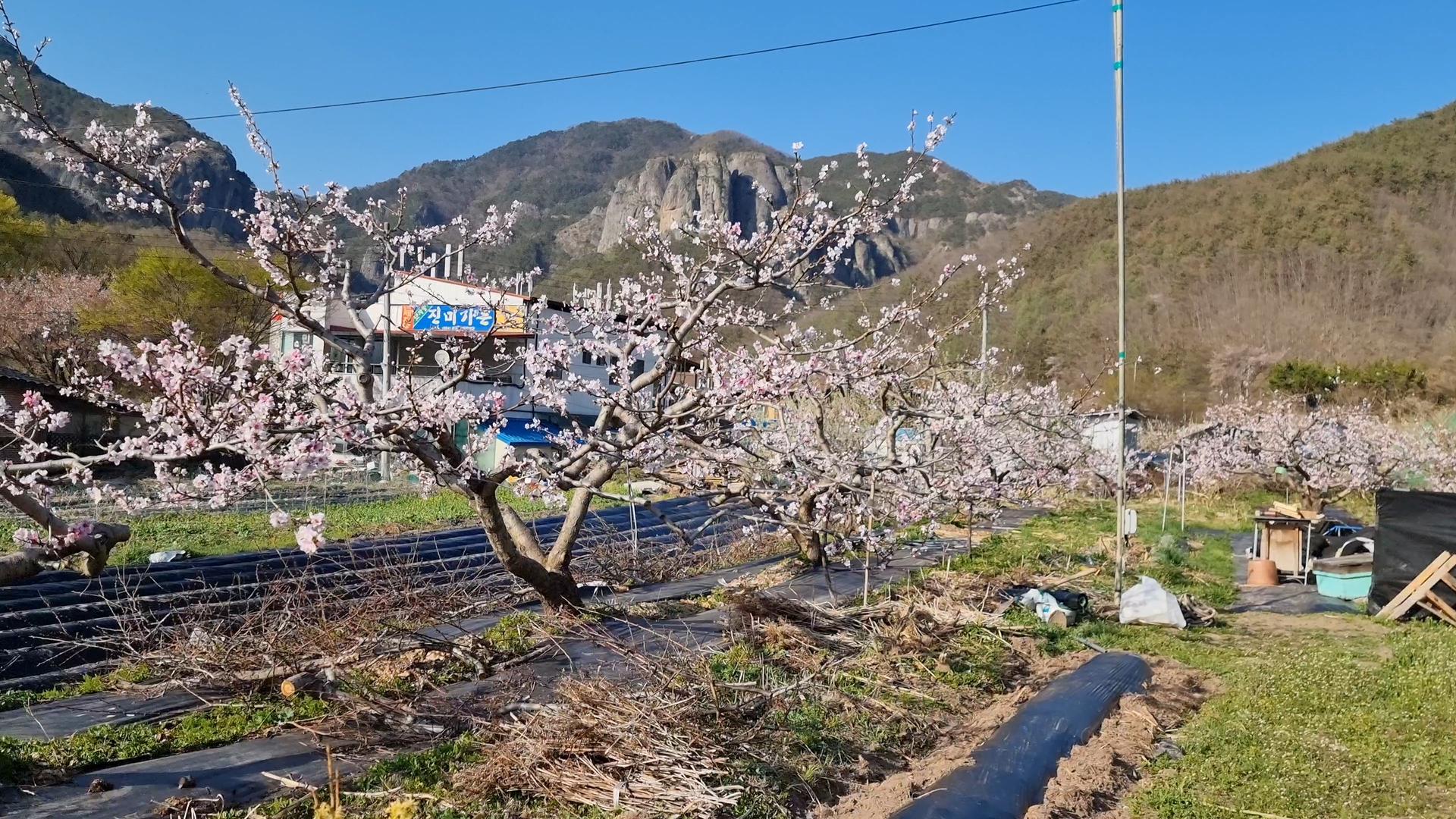 주왕산 상의야영장