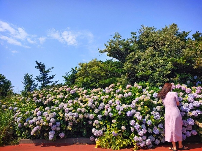 한림공원