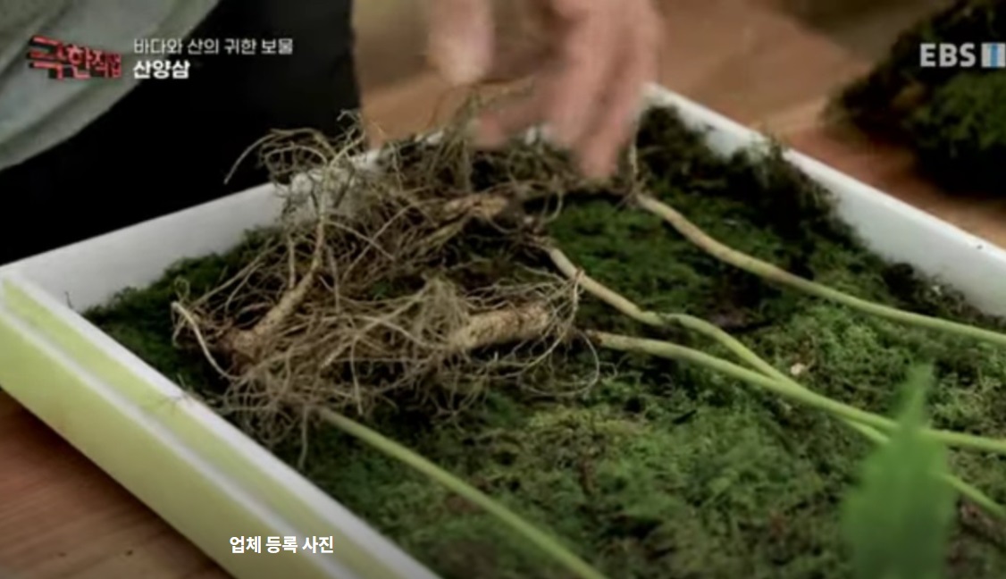 극한직업-산양삼-어디