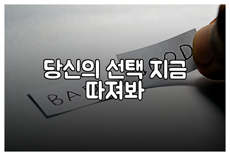당신의 선택 지금 따져봐