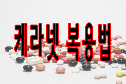 케라넷 복용법