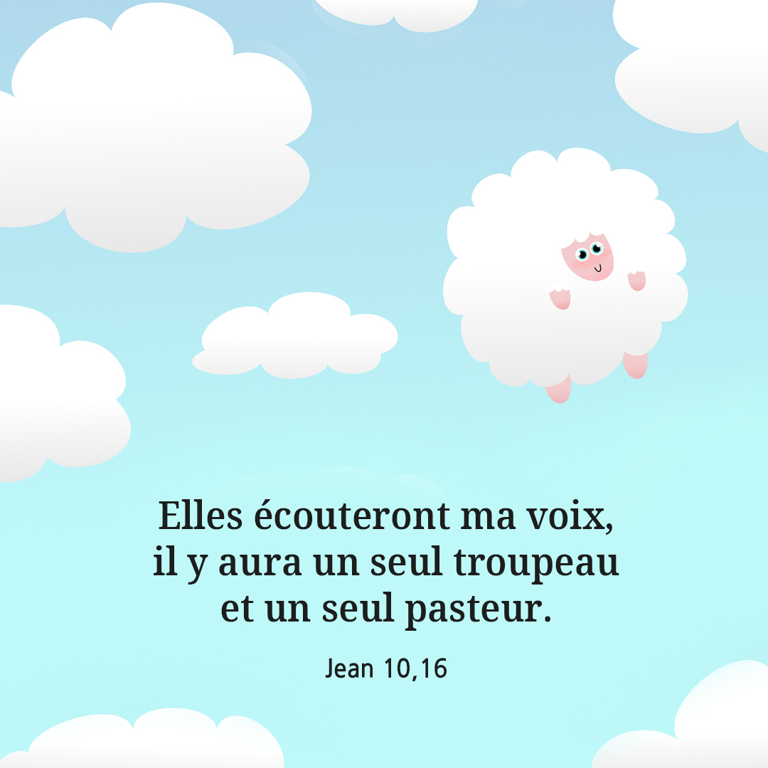Elles &eacute;couteront ma voix : il y aura un seul troupeau et un seul pasteur. (Jean 10,16)