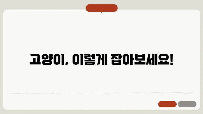 고양이 잡는 방법