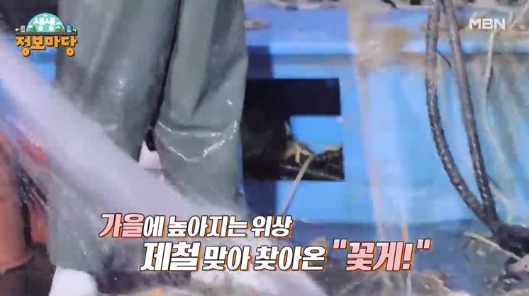 나는 자연산이다 전북 부안 꽃게잡이 배 연락처, 게국지, 꽃게탕 양념 꽃게장 간장게장 충남 태안 맛집 추천