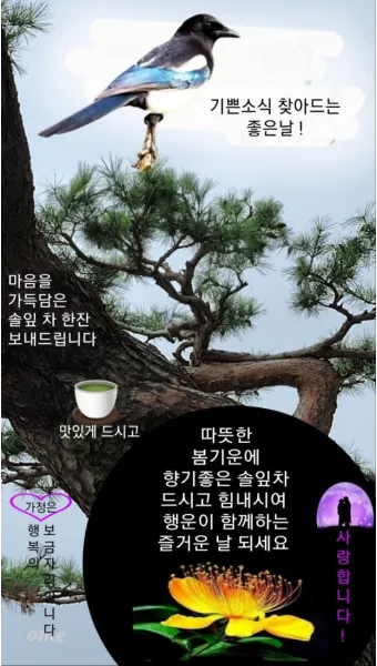 아침 인사 문자 날씨 변화에 맞춘 안부 문장 하루를 여는 표현_29