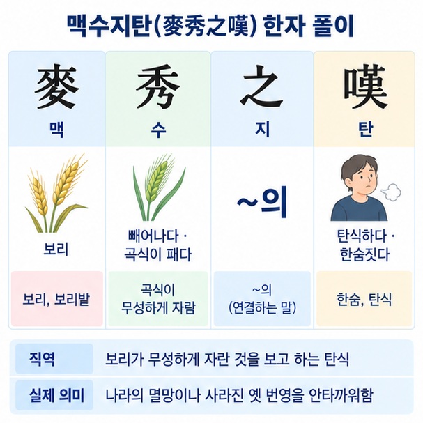 맥수지탄 한자 麥秀之嘆의 맥 수 지 탄 글자별 뜻을 표로 풀이한 이미지
